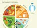 Healthy Eating Index infographic 1