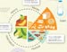 Healthy Eating Index infographic 3