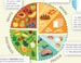 Healthy Eating Index infographic 4