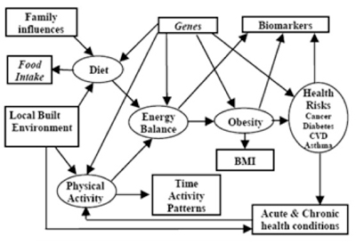 Statistical Network USC graphic title