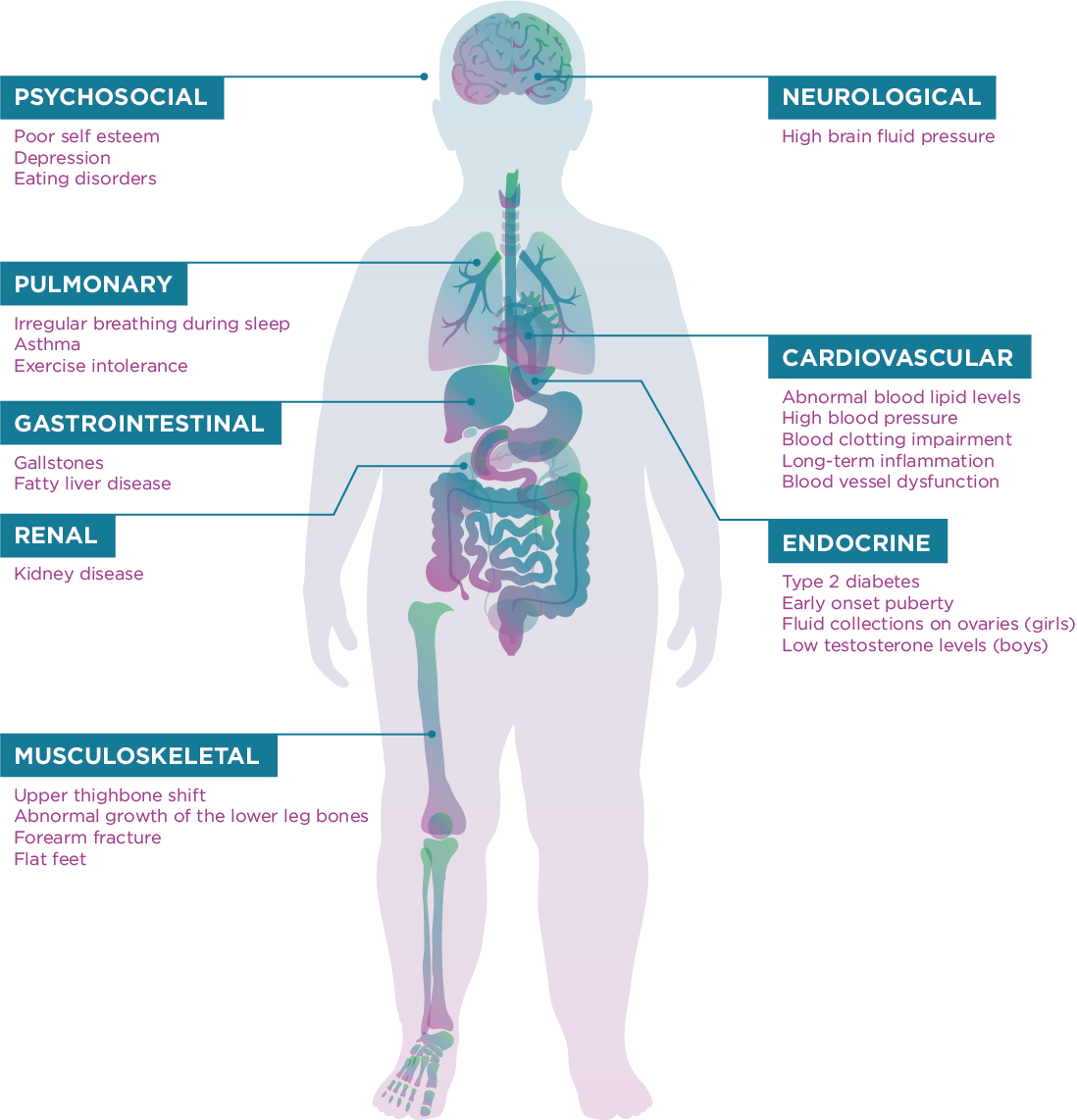 Figure 2: Adverse Childhood Obesity Health Outcomes