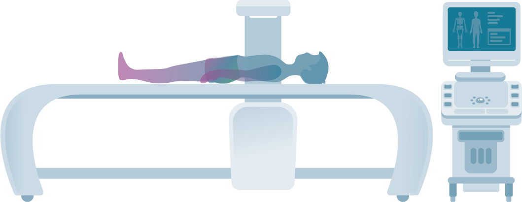 Figure 14: Dual Energy X-Ray Absorptiometry