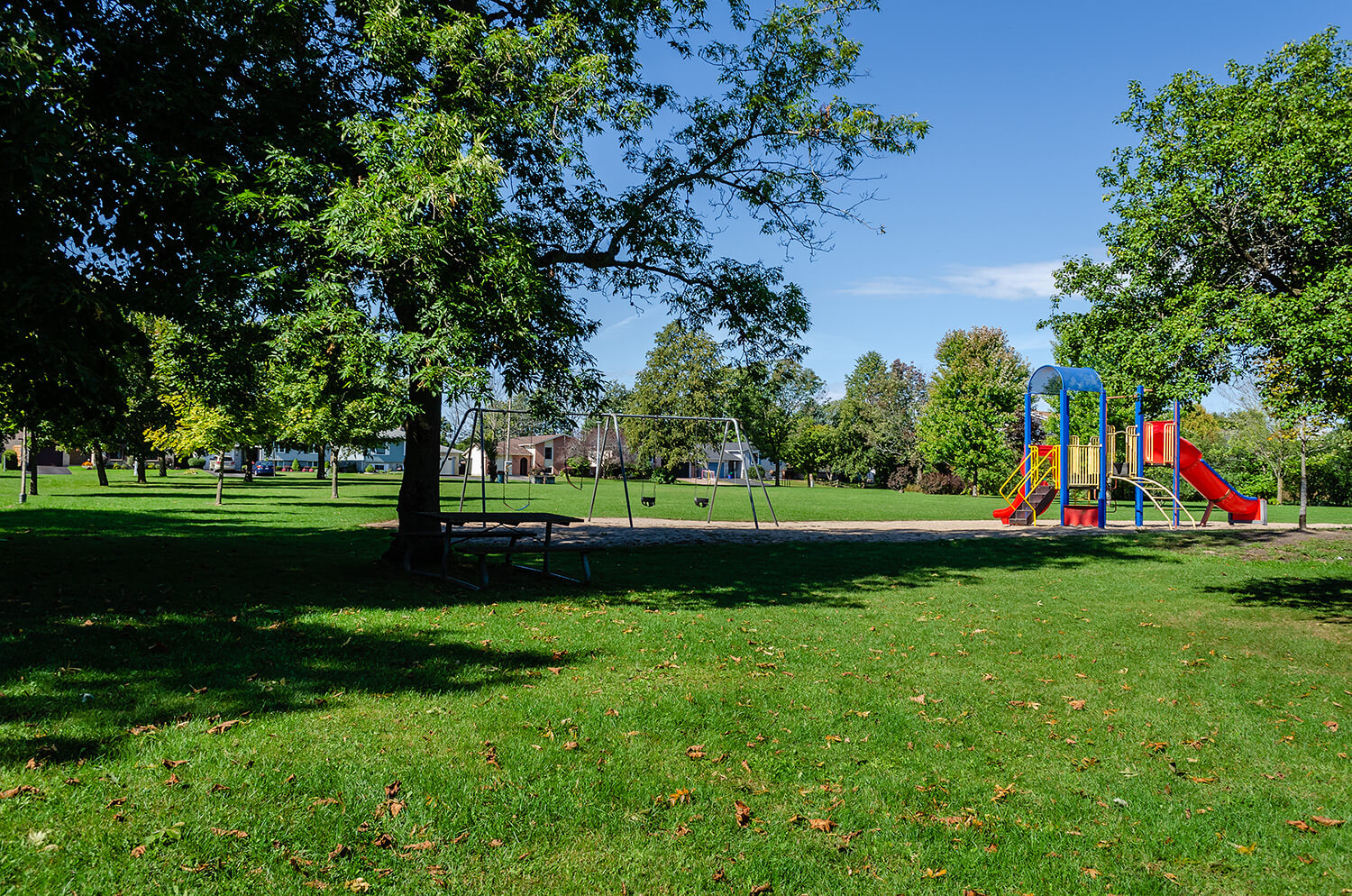 Open green park with trees on the left and small playground on the right.