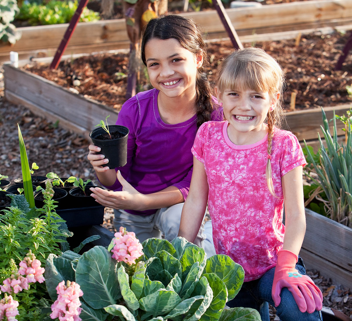 Two young girls in the garden planting. 