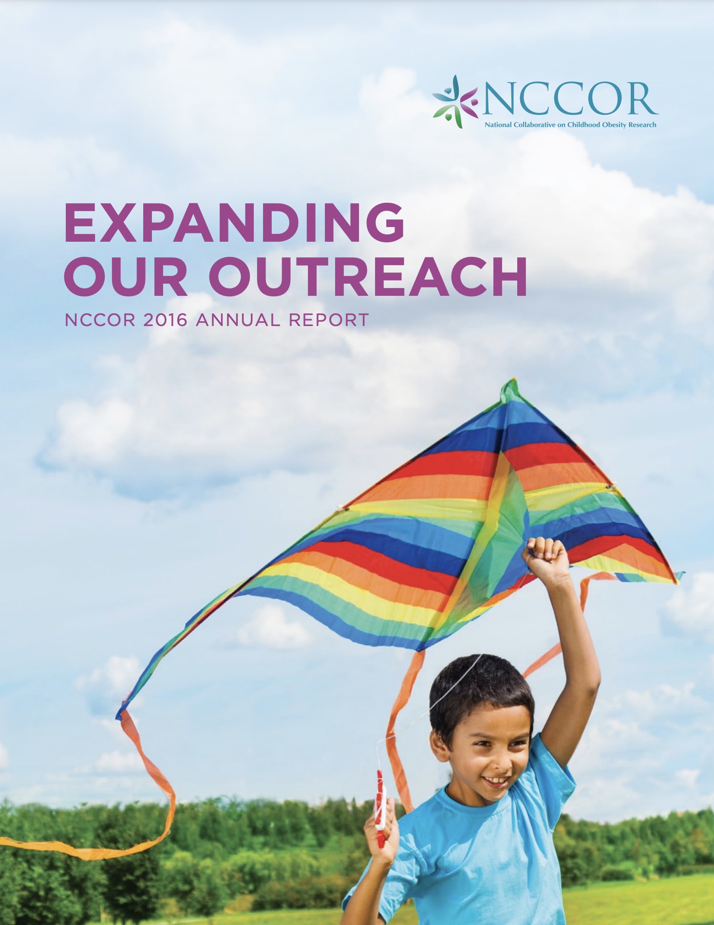 NCCOR Annual Report 2016
