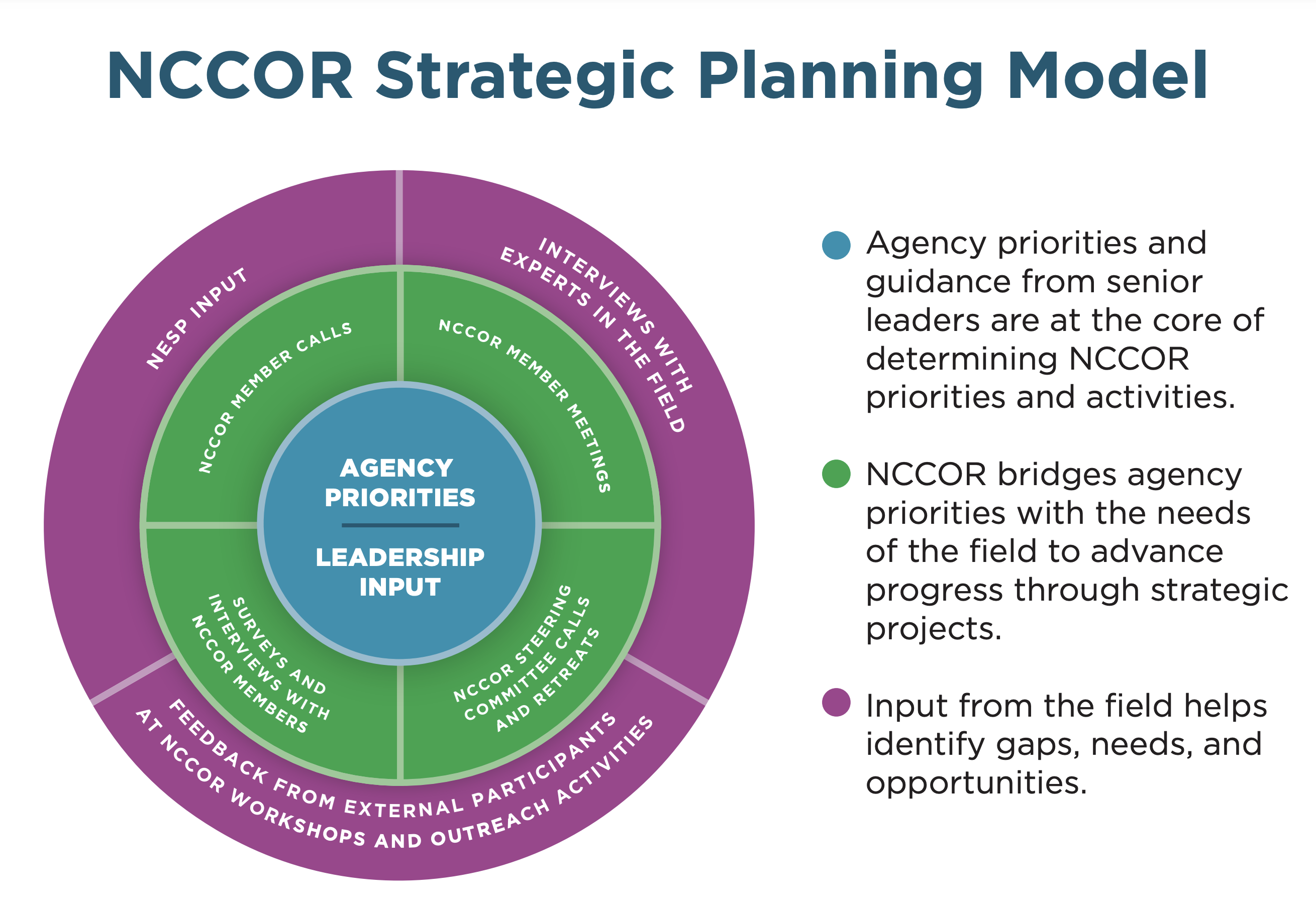 NCCOR Strategic Planning Model